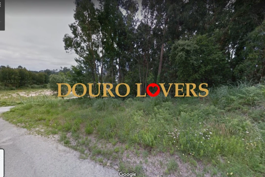 Terreno para Venda em Madalena Foto 7