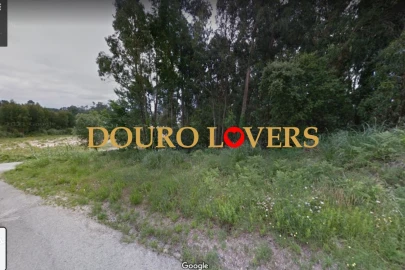 Terreno para Venda em Madalena