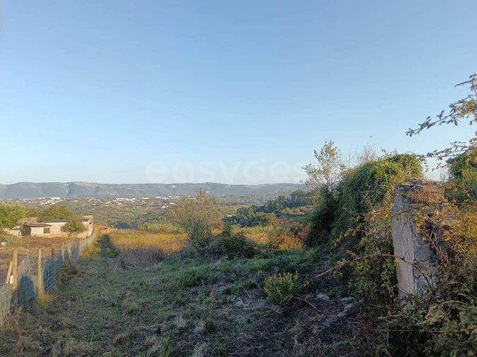 Terreno para Venda em Aljubarrota
