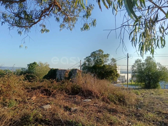 Terreno para Venda em Aljubarrota Foto 2