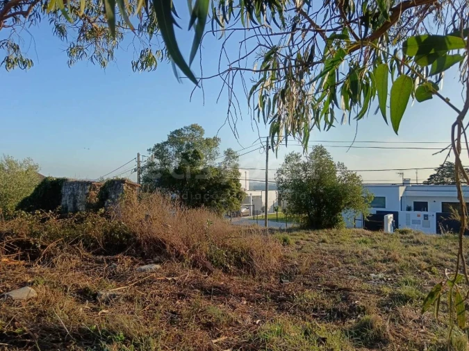 Terreno para Venda em Aljubarrota Foto 3