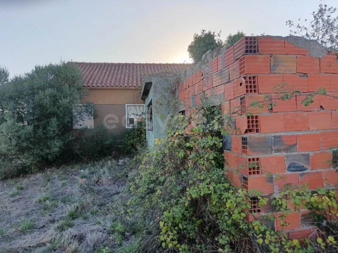 Terreno para Venda em Aljubarrota Foto 5
