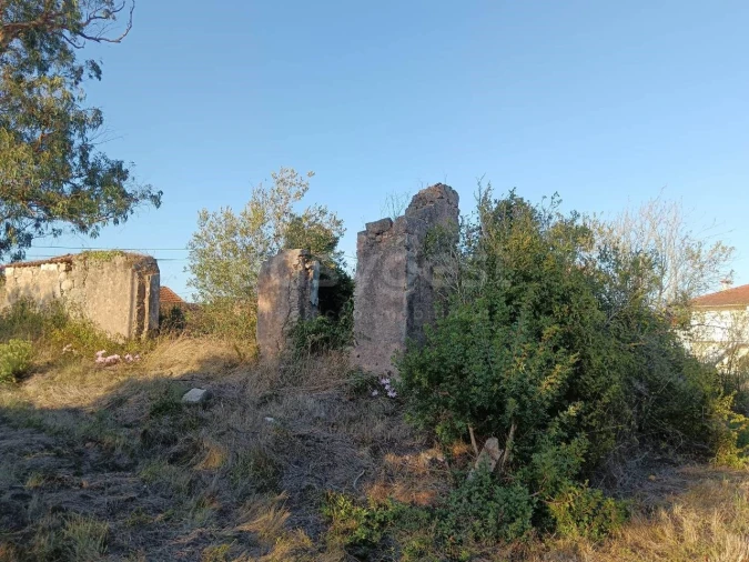 Terreno para Venda em Aljubarrota Foto 7