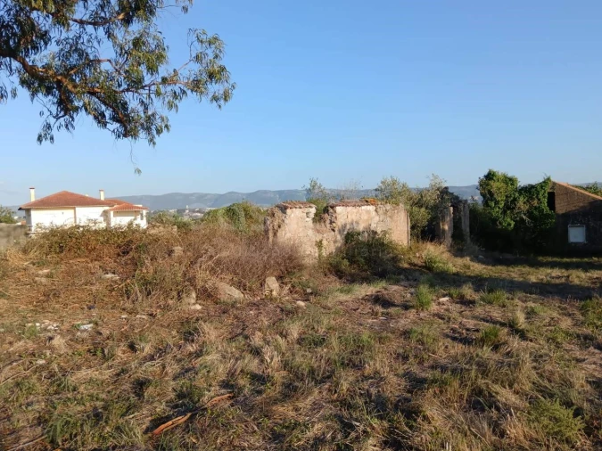 Terreno para Venda em Aljubarrota Foto 10