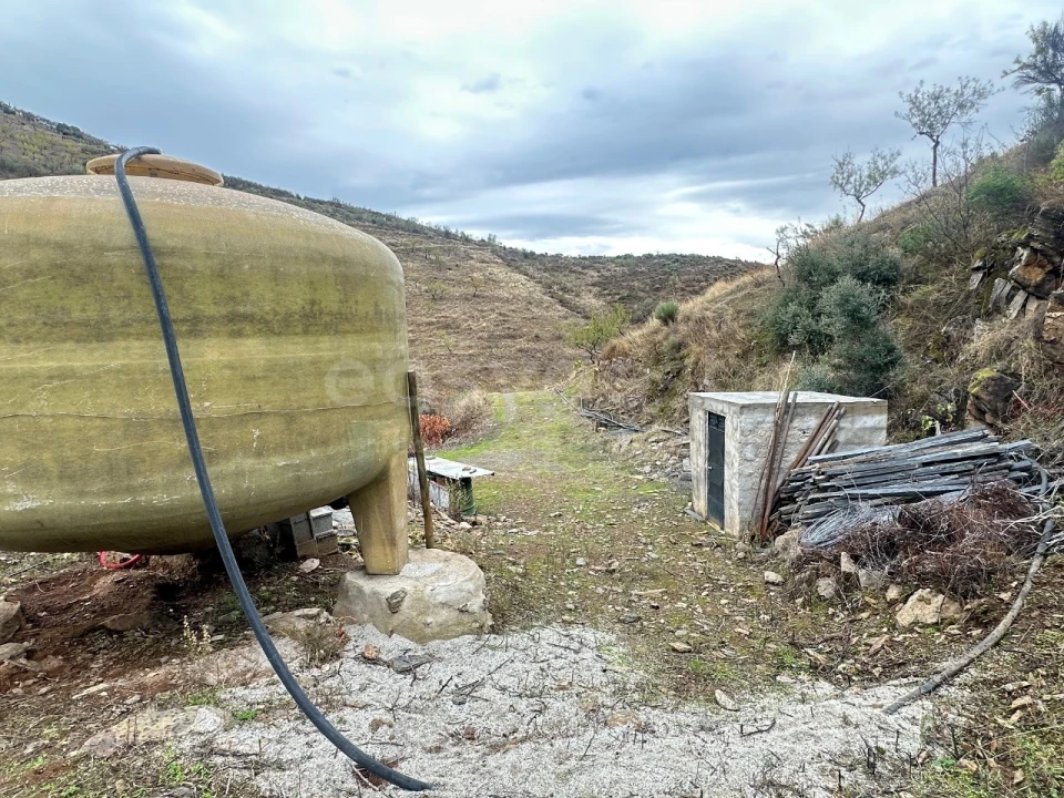 Terreno Agricola ou Rústico para Venda em Freixo de Espada a Cinta e Mazouco Foto 10