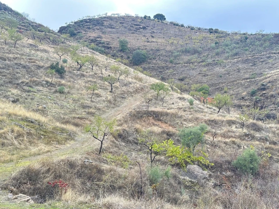 Terreno Agricola ou Rústico para Venda em Freixo de Espada a Cinta e Mazouco Foto 16