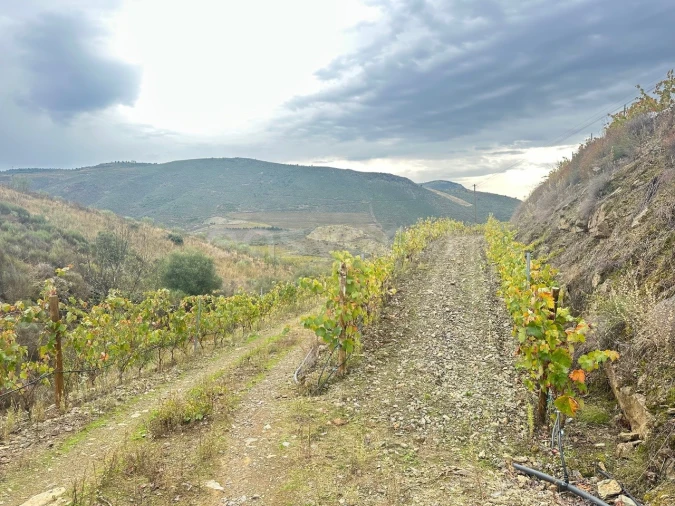 Terreno Agricola ou Rústico para Venda em Freixo de Espada a Cinta e Mazouco Foto 1
