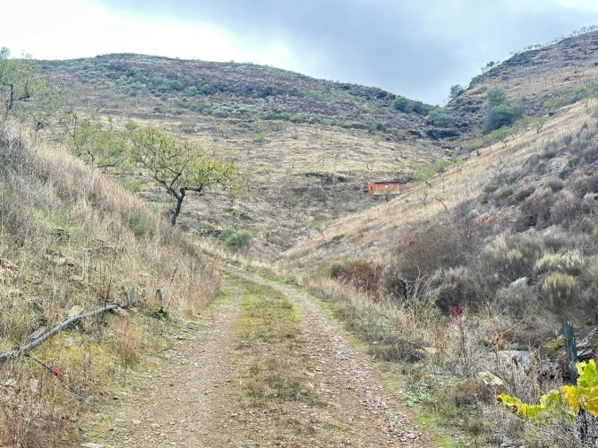 Terreno Agricola ou Rústico para Venda em Freixo de Espada a Cinta e Mazouco Foto 2