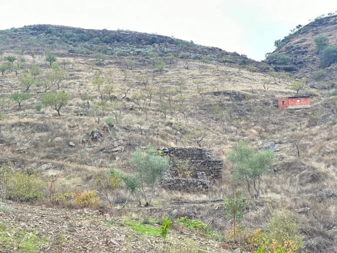 Terreno Agricola ou Rústico para Venda em Freixo de Espada a Cinta e Mazouco Foto 4