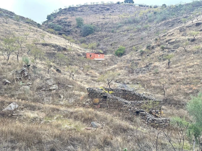 Terreno Agricola ou Rústico para Venda em Freixo de Espada a Cinta e Mazouco Foto 5