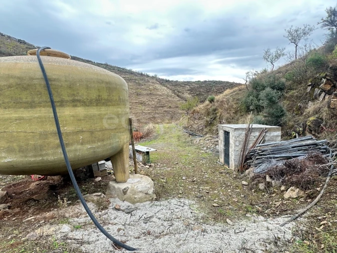 Terreno Agricola ou Rústico para Venda em Freixo de Espada a Cinta e Mazouco Foto 10