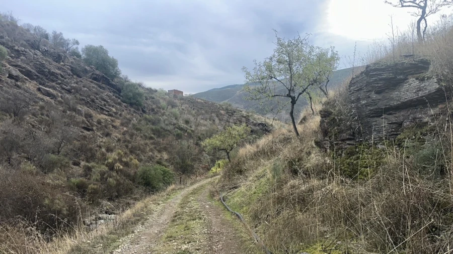 Terreno Agricola ou Rústico para Venda em Freixo de Espada a Cinta e Mazouco Foto 11