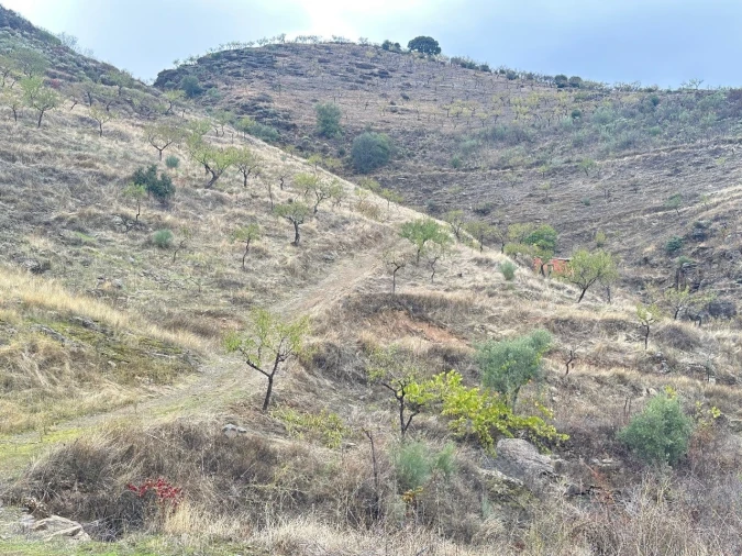 Terreno Agricola ou Rústico para Venda em Freixo de Espada a Cinta e Mazouco Foto 16