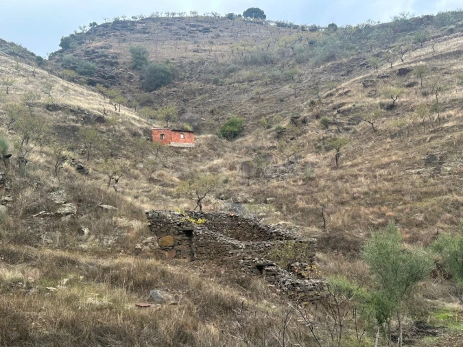 Terreno Agricola ou Rústico para Venda em Freixo de Espada a Cinta e Mazouco Foto 17