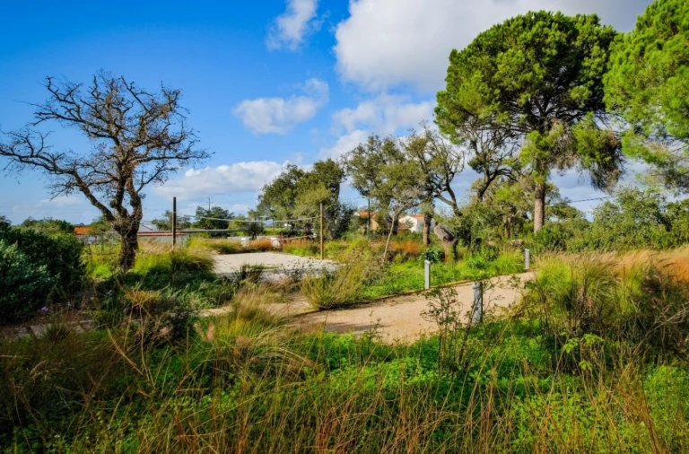 Quinta T5 para Arrendamento em Grândola e Santa Margarida da Serra Foto 34