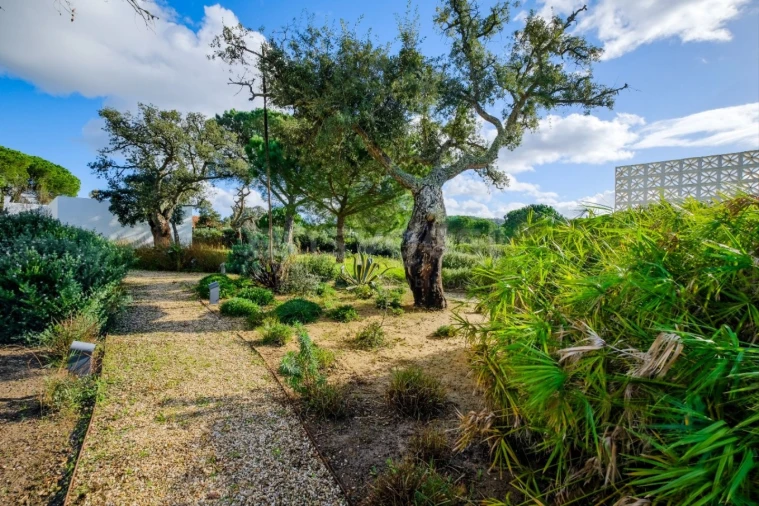 Quinta T5 para Arrendamento em Grândola e Santa Margarida da Serra Foto 35