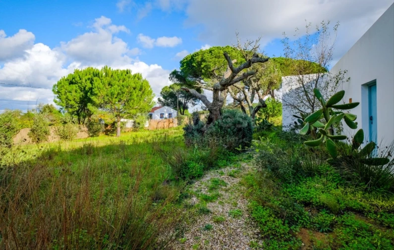 Quinta T5 para Arrendamento em Grândola e Santa Margarida da Serra Foto 36