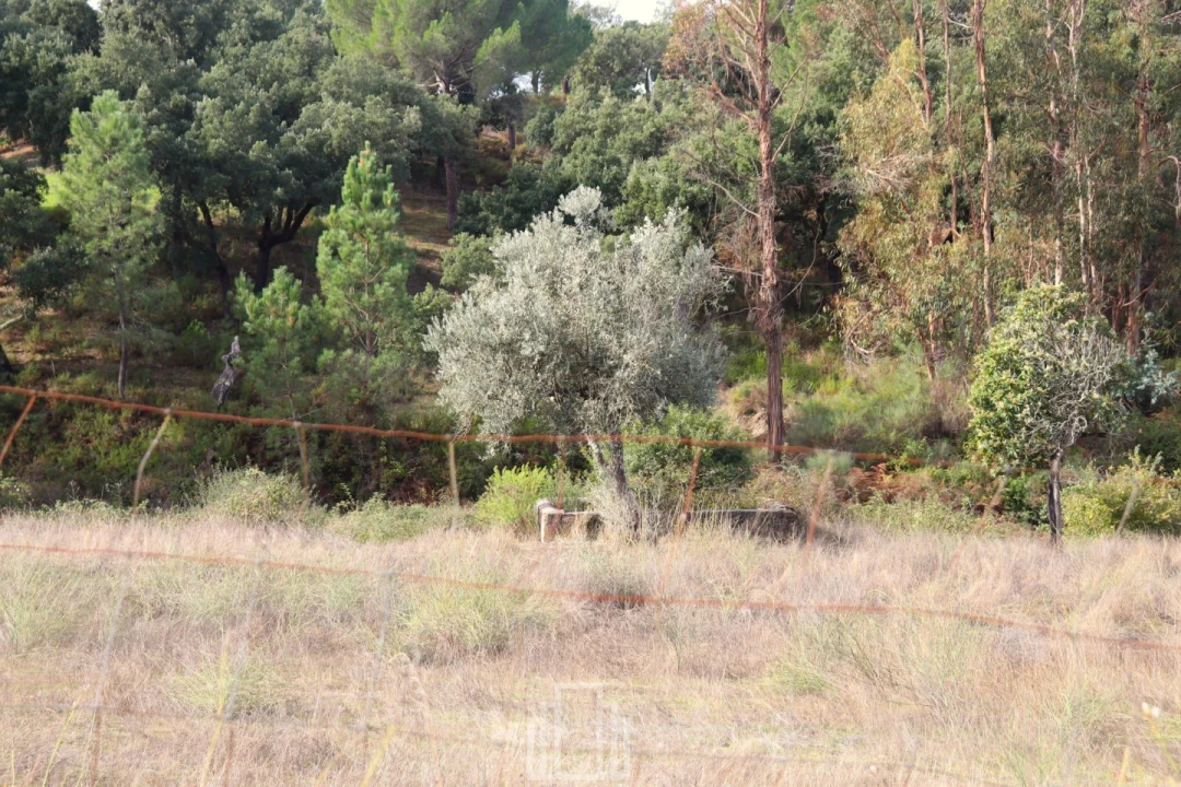 Quinta T1 para Venda em Galveias Foto 7