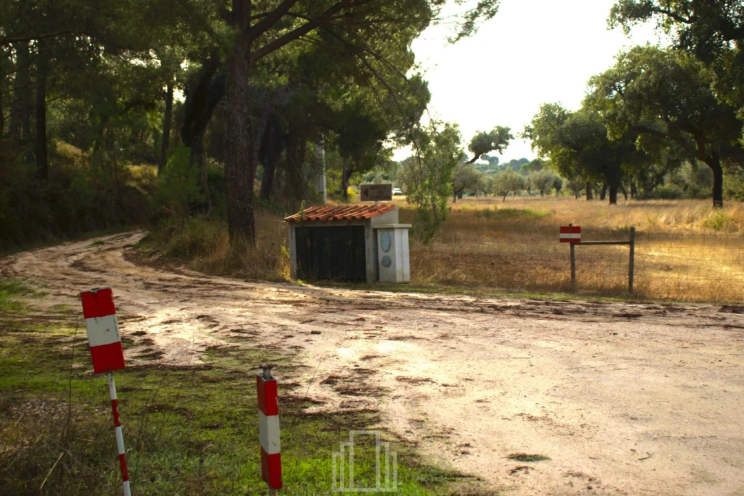 Quinta T1 para Venda em Galveias Foto 9