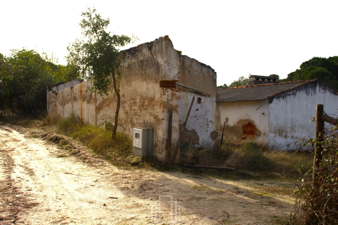 Quinta T1 para Venda em Galveias Foto 2