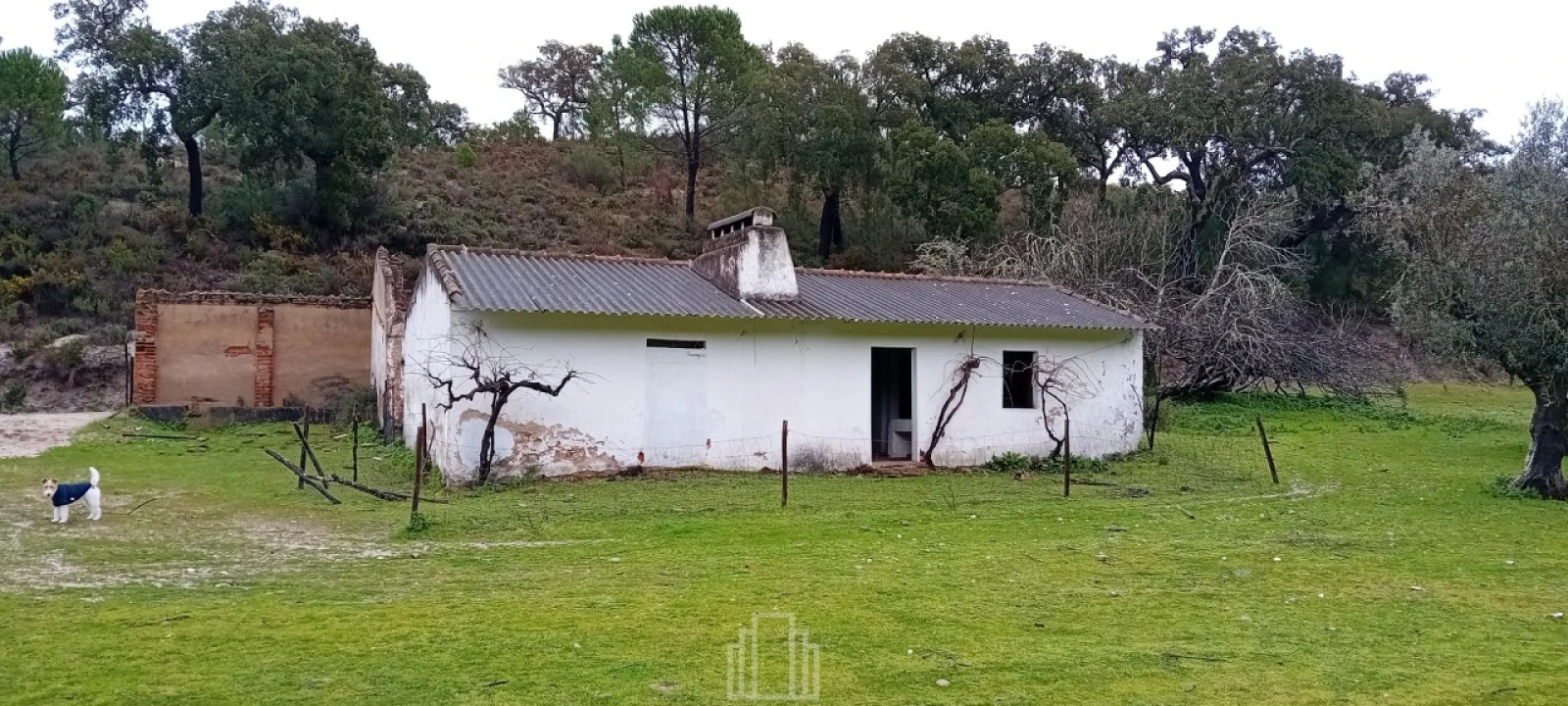 Quinta T1 para Venda em Galveias Foto 3