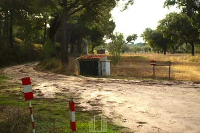 Quinta T1 para Venda em Galveias