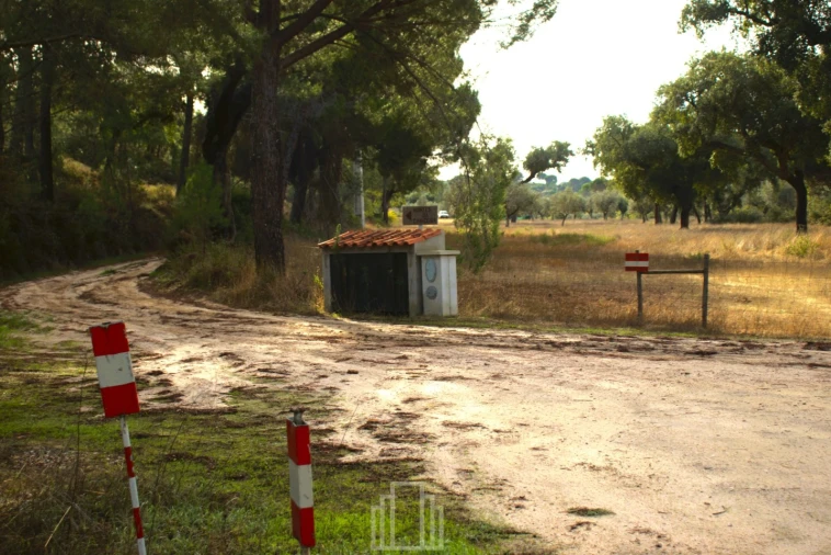 Quinta T1 para Venda em Galveias Foto 9