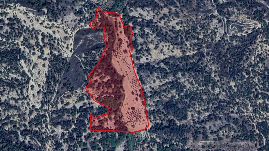 Quinta T1 para Venda em Galveias Planta 1
