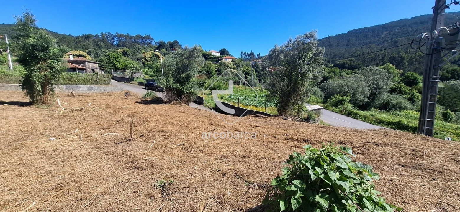Terreno para Venda em Labruja Foto 11