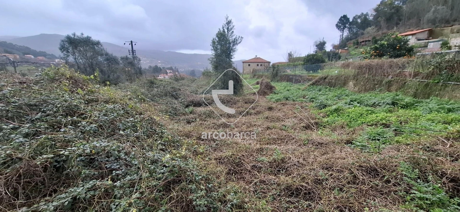 Terreno para Venda em Labruja Foto 8