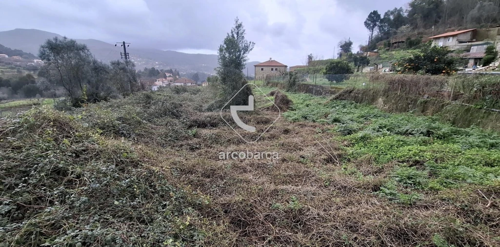 Terreno para Venda em Labruja Foto 7