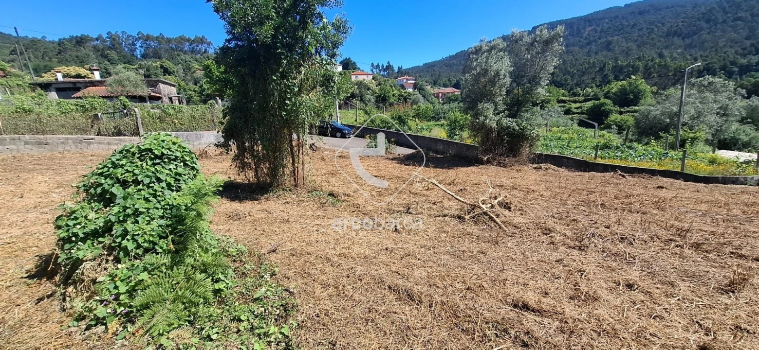 Terreno para Venda em Labruja Foto 7