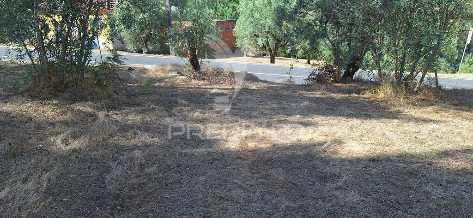 Terreno para Venda em Matas e Cercal Foto 9