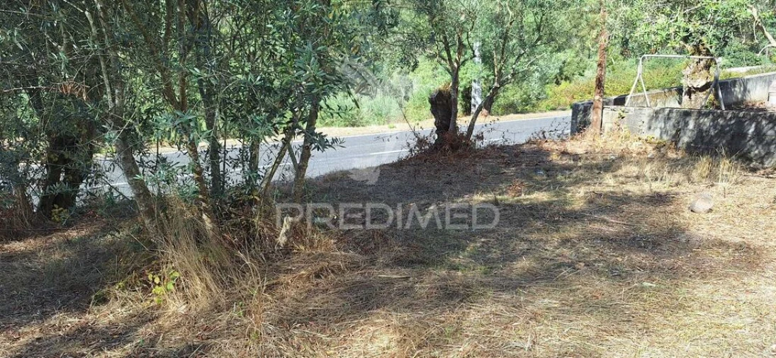Terreno para Venda em Matas e Cercal Foto 5