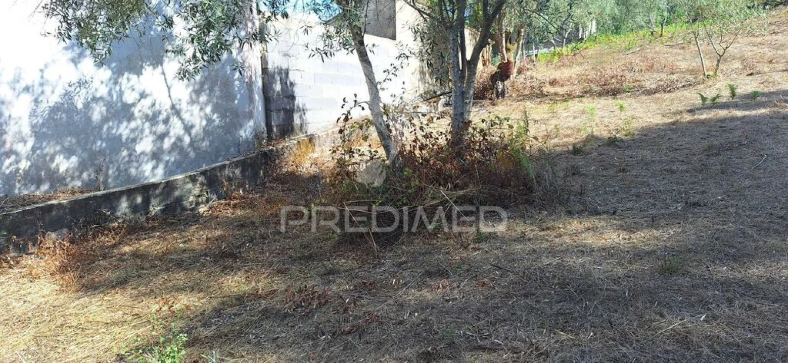 Terreno para Venda em Matas e Cercal Foto 6