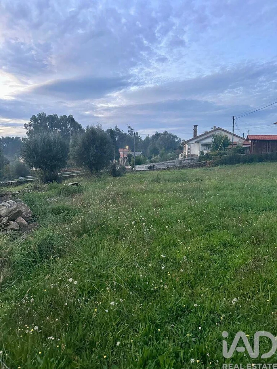 Terreno para Venda em Fornelos e Queijada Foto 3