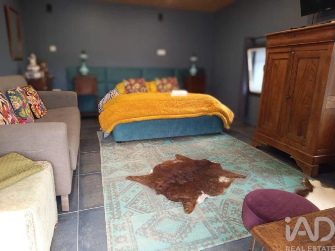 Quinta T4 para Venda em Alcafache Foto 3