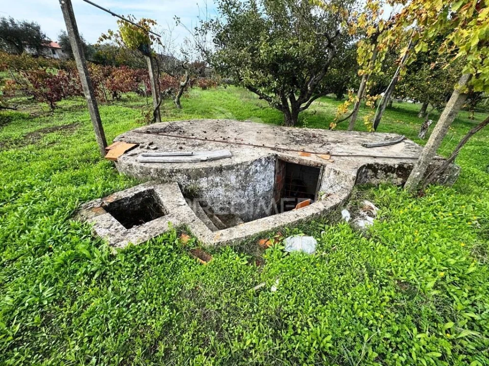 Quinta T4 para Venda em Fortios Foto 17