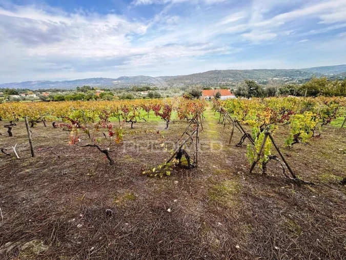 Quinta T4 para Venda em Fortios Foto 1