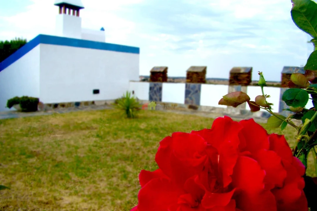 Quinta T8 para Venda em Santiago Maior Foto 6