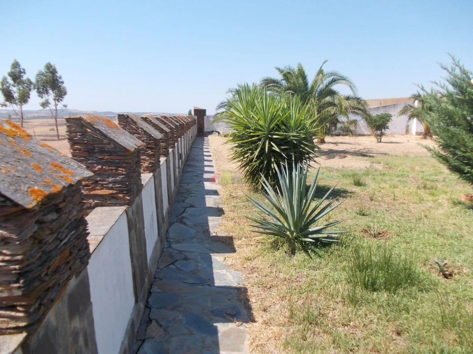 Quinta T8 para Venda em Santiago Maior Foto 11