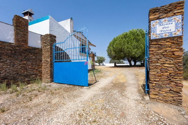 Quinta T8 para Venda em Santiago Maior Foto 3