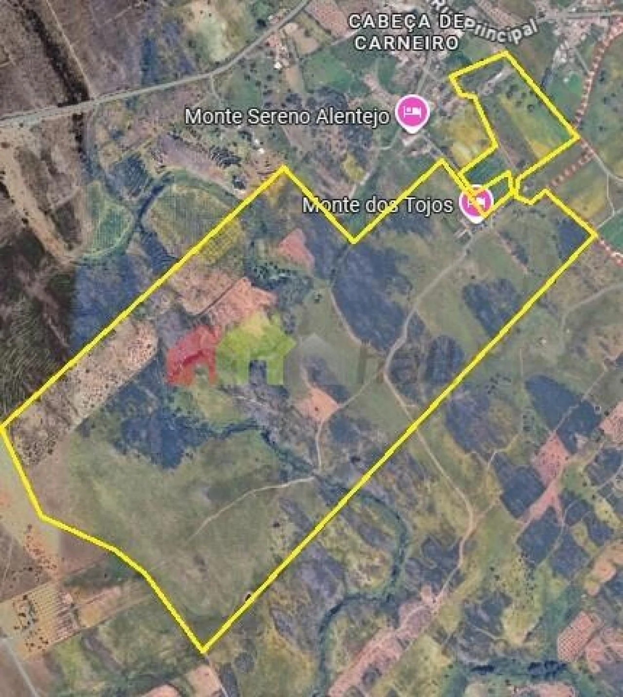 Quinta T8 para Venda em Santiago Maior Foto 33