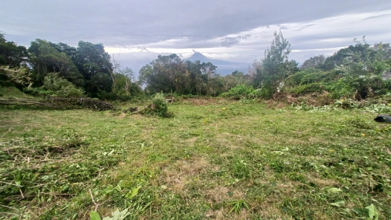 Terreno para Venda em Santo Amaro Foto 9