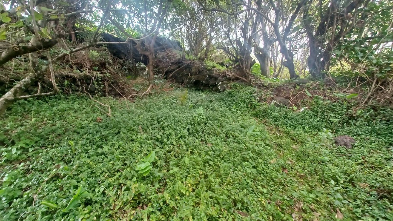 Terreno para Venda em Santo Amaro Foto 5