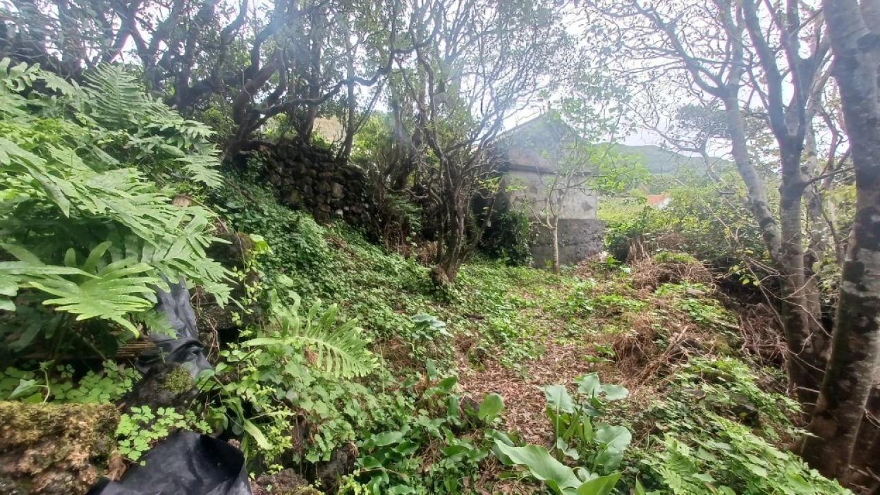 Terreno para Venda em Santo Amaro Foto 6