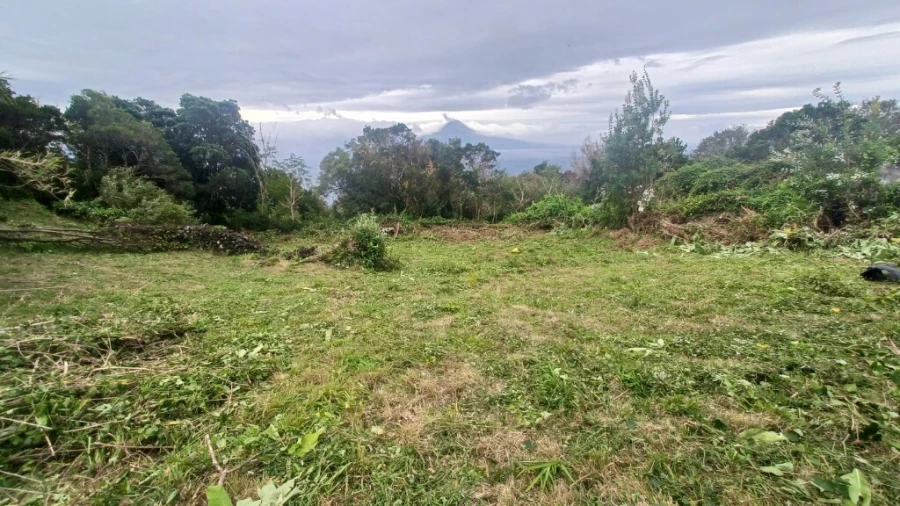Terreno para Venda em Santo Amaro Foto 9