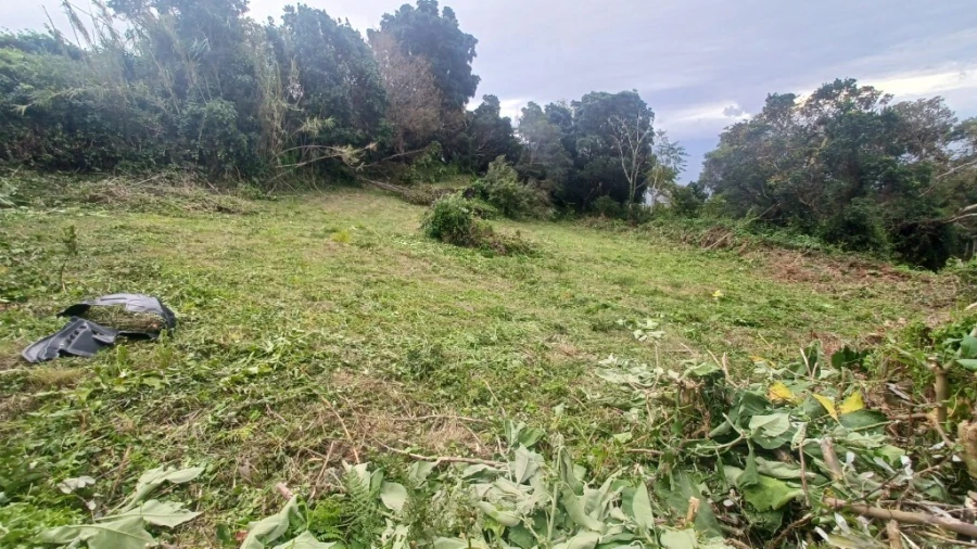 Terreno para Venda em Santo Amaro Foto 8