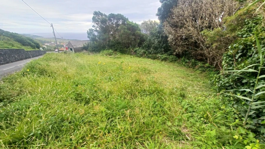 Terreno para Venda em Santo Amaro Foto 11