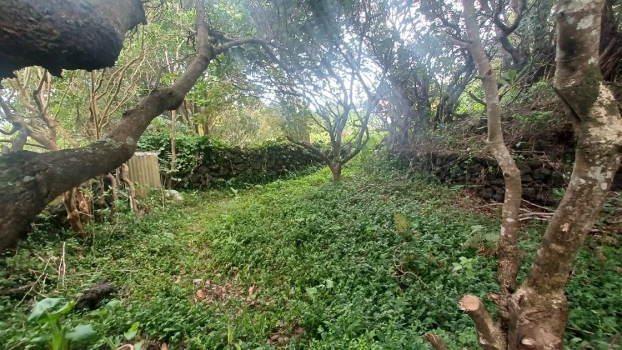 Terreno para Venda em Santo Amaro Foto 7